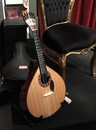 12 string Portuguese guitar