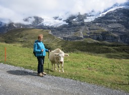 a hiking trail observer