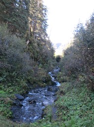 a nice mountain stream