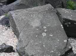 a rock with petroglyphs on the Wrangell beach