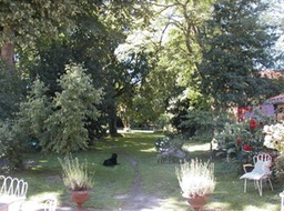 Aero-home-2