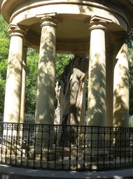 An old Gernika tree from ~1700