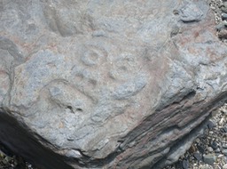 another rock with petroglyphs on the Wrangell beachJPG