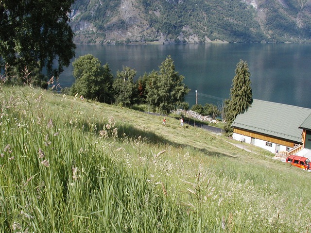 Aurland-hike-2