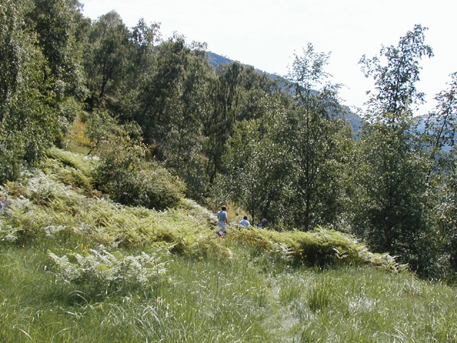 Aurland-hike-6