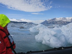 Barb getting a close view of some ice