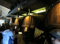 barrels of wine! (1)