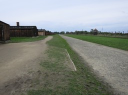 Birkenau