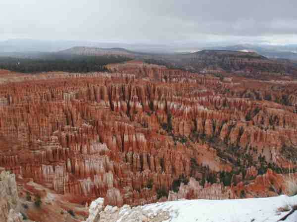 Bryce - 15
