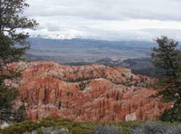 Bryce - 17