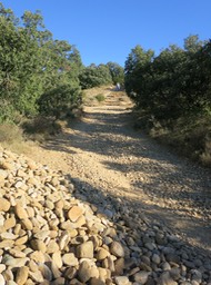 Camino de Santiago trail (1)