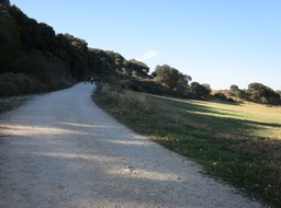 Camino de Santiago trail (3)