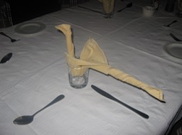 camp staff go all out!