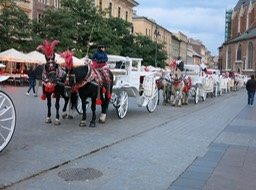 carriage ride lineup in Krakow