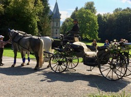 carriage waiting the bride an groom