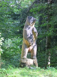 carving from fallen tree