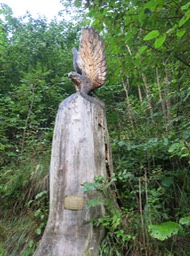 carving from fallen tree