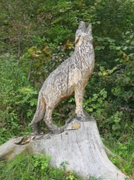 carving from fallen tree