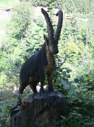 carving from fallen tree