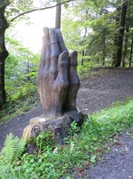 carving from fallen tree