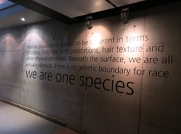 Cradle of Humankind center