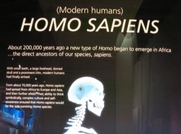 Cradle of Humankind signage