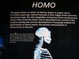 Cradle of Humankind signage