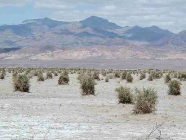 Death Valley - 5