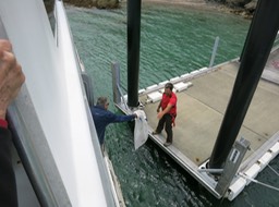 delivering the mail; Bay of Islands