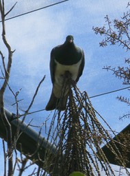 don't recall this one's name