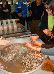 DSCN0464.JPG silkworm cocoons