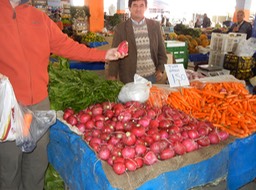 DSCN0601.JPG Big radishes!