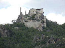 DSCN1131