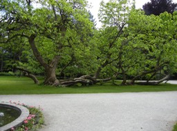 DSCN1186