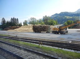 DSCN1192