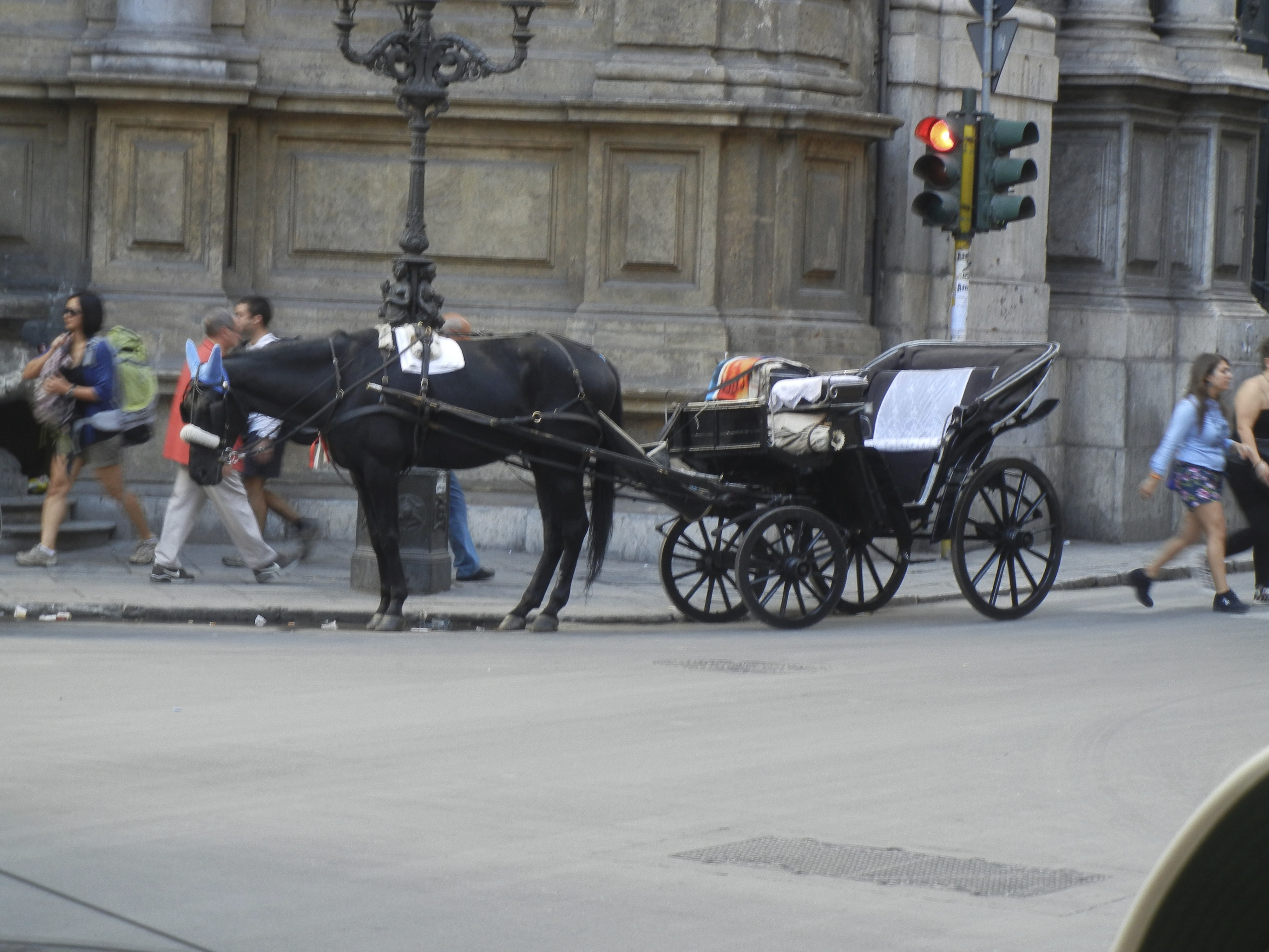 DSCN1301.JPG