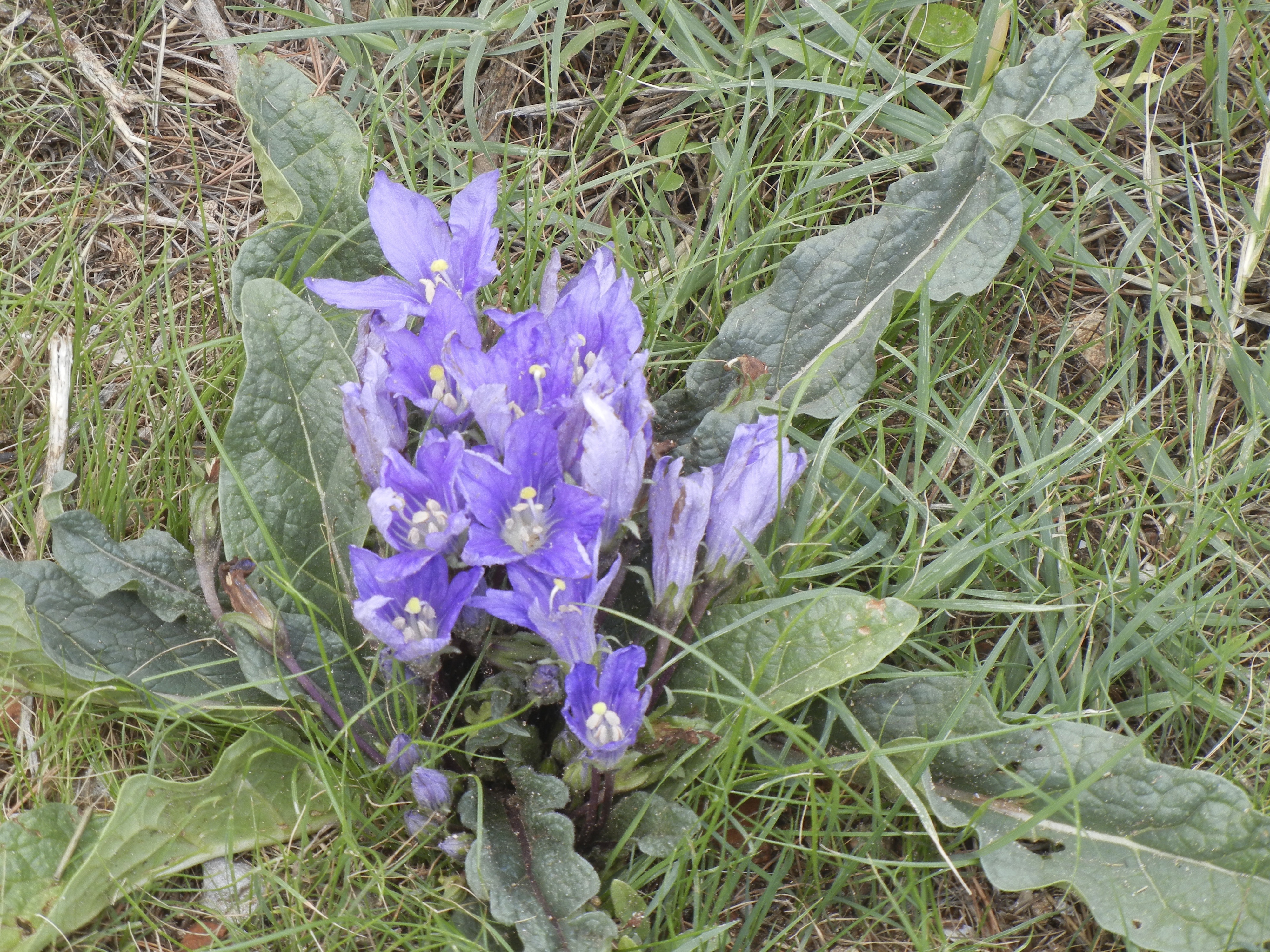 DSCN1347.JPG