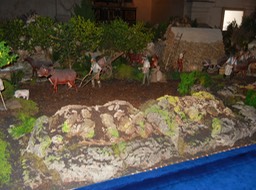 DSCN1488