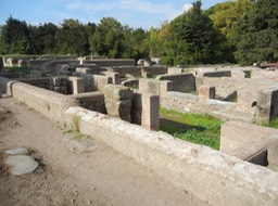 DSCN1590