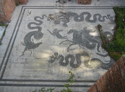 DSCN1591