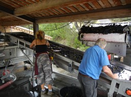 beginning of the process