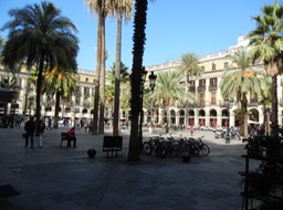 Placa Reial