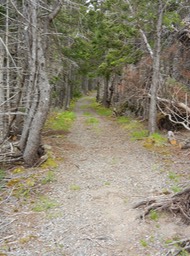 one of our hikes along the Cabot Trail