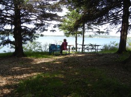 lunch site in Acadia National Park, Maine