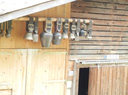 cowbells