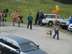 the leader of the parade