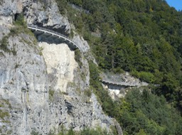 DSCN2810