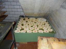 rounds of cheese in salt bath