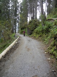 easy trail
