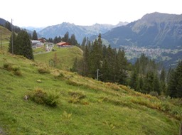 that was our lunch stop!